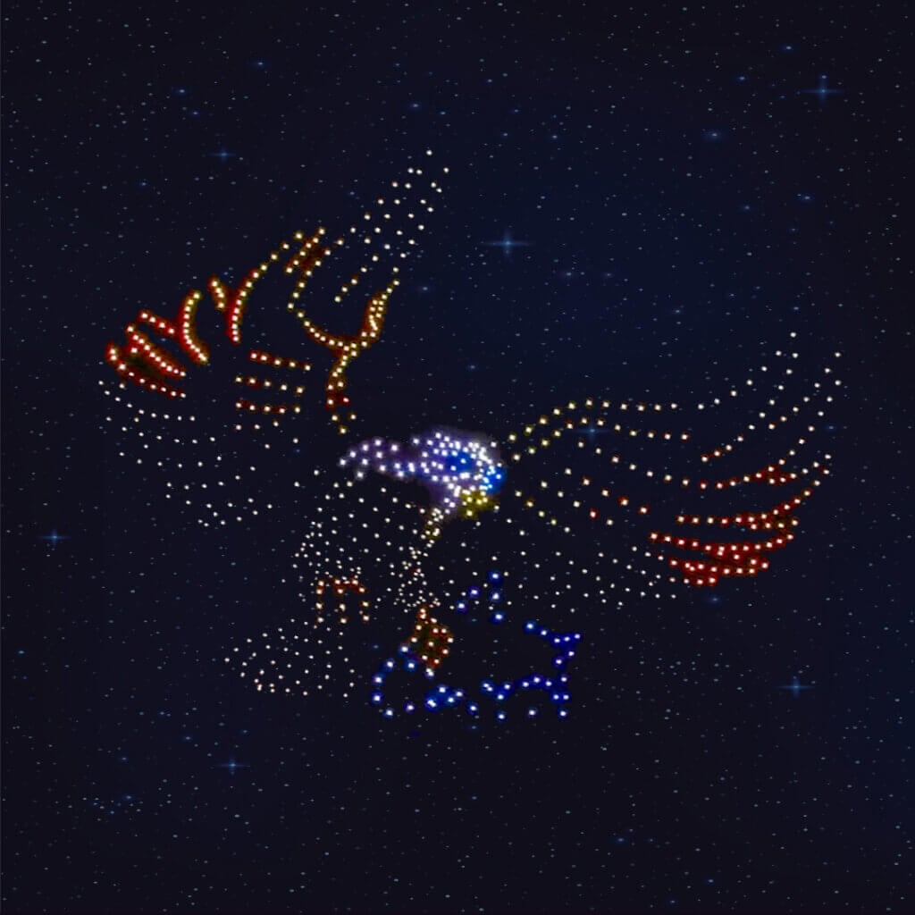 Drone Show